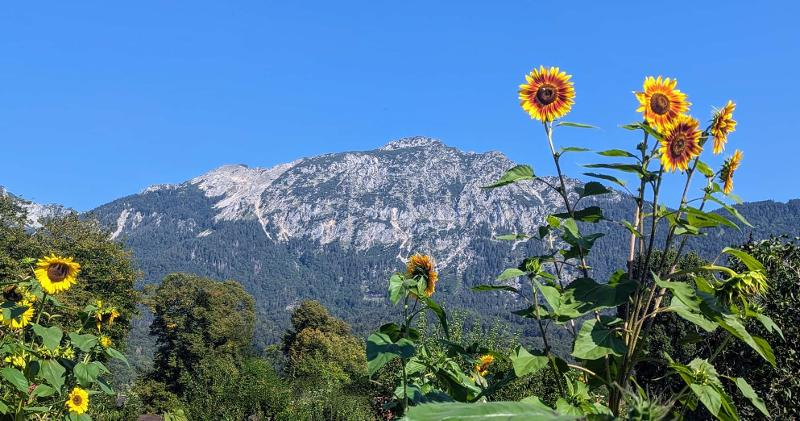 Ferienwohnungen Natur Pur